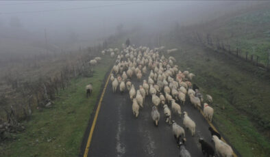Karadeniz’de yaylalardan zorlu dönüş
