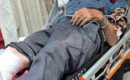 86’lık Adamın Odun Kesimi Kazası: Kelkit’te Dehşet Veren Olay