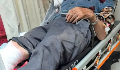 86’lık Adamın Odun Kesimi Kazası: Kelkit’te Dehşet Veren Olay