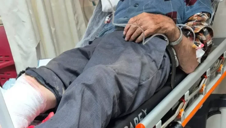 86’lık Adamın Odun Kesimi Kazası: Kelkit’te Dehşet Veren Olay