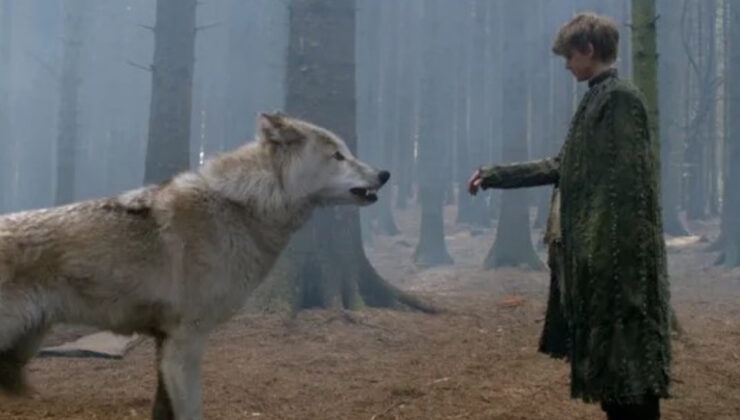 Nesli tükenmiş hayvan türlerinin ‘geri getirilmesi’ ne kadar mantıklı