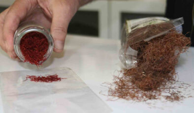 O baharata dikkat: Eğer suda eriyorsa…