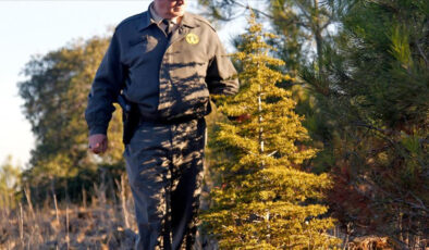 Orman Genel Müdürlüğü 262 daimi işçi alacak