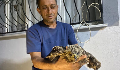 Osmaniye’de bulduğu şahine ciğer dürüm sipariş etti