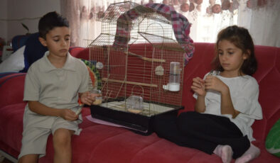 Siirt’te iki kardeş kaçan kuşları için günlerdir nöbet tutuyor