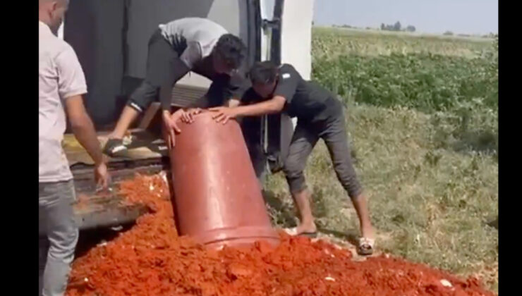 Tarım ve Orman Bakanlığı paylaştı: Hatay’da gıda denetimi