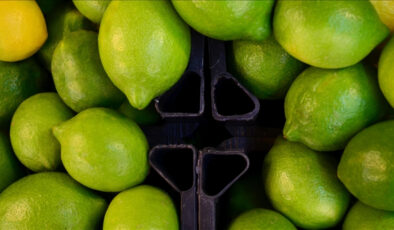 Ticaret Bakanlığı: Limon ve elma ihracatı izinsiz yapılmayacak