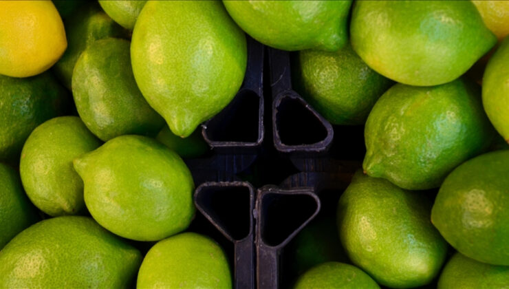 Ticaret Bakanlığı: Limon ve elma ihracatı izinsiz yapılmayacak