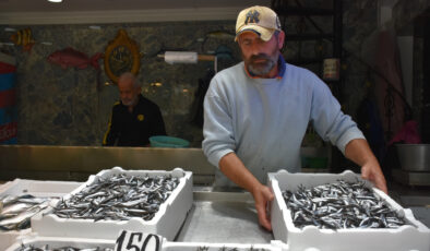 Trabzon’da hamsi ve istavrit 150 lira oldu