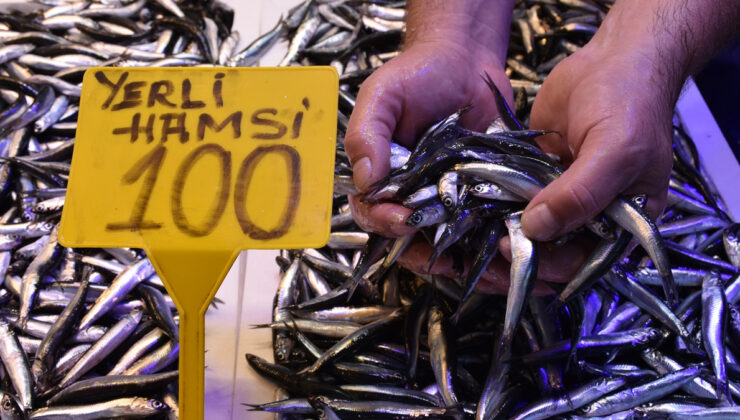 Trabzon’da hamsi ve istavritin kilogramı 100 lira