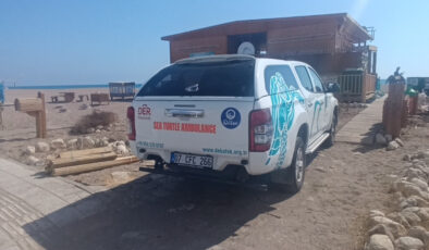 Türkiye’nin ilk deniz kaplumbağası ambulansı Antalya’da hizmete girdi