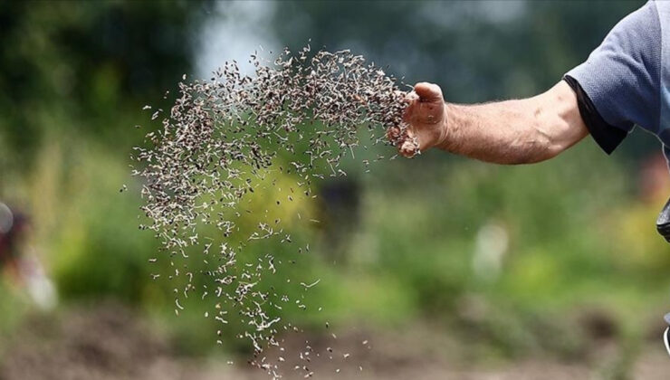 Türkiye’nin tohumculuk sektöründe dünyada ilk 5’te yer alma hedefi