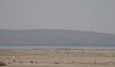 Van Gölü Havzası misafirlerini ağırlıyor