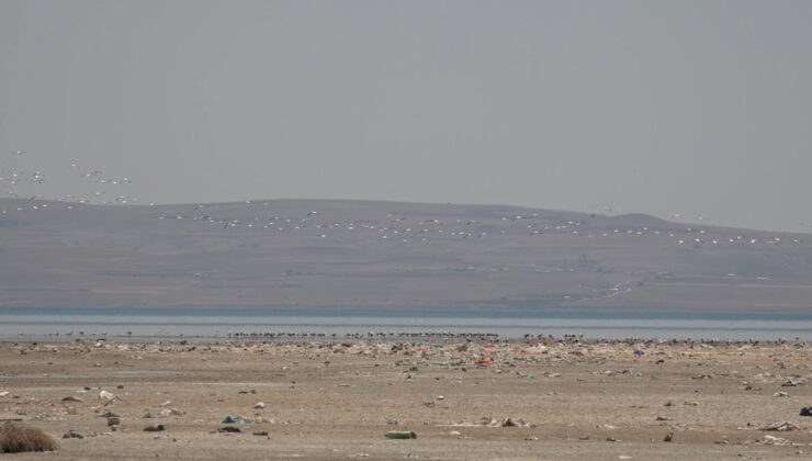 Van Gölü Havzası misafirlerini ağırlıyor