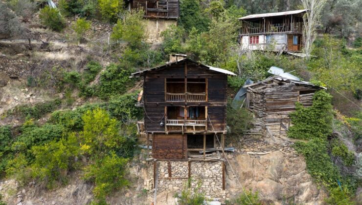 Artvin’in Gizli Mirası: Cevizli Köyü’nün Ardıç Ağacından Evleri Yüzyıllardır Ayakta