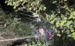 Artvin Borçka’da Uçuruma Düşen İneği İtfaiye Kurtardı