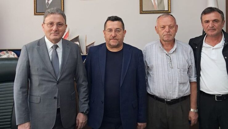 Giresun-Şebinkarahisar Yolu ve Pınarlar Tüneli Projesi