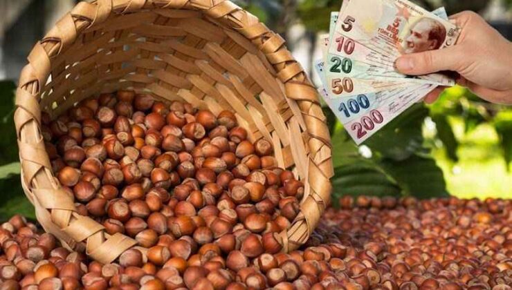 Türkiye Fındık İhracatında Yeni Sezon Başlangıcı