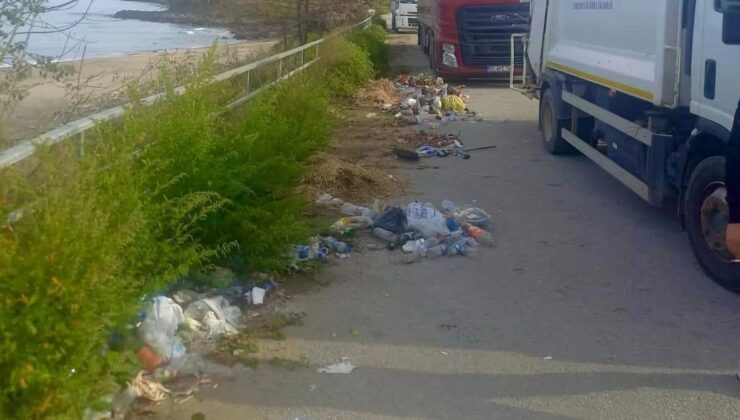 Giresun Keşap’ta TYP Personeliyle Kapsamlı Çevre Seferberliği