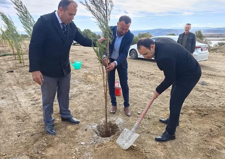 Gölova Yürüyüş Yolu