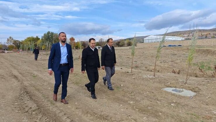 Gölova Göl Kenarı Yeşil Bir Görünüme Kavuşuyor