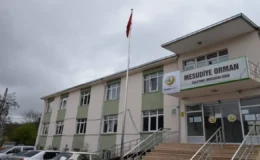 Mesudiye’de Usulsüz Orman Kesimi İddiası: 13.6 Milyon TL Vurgun!
