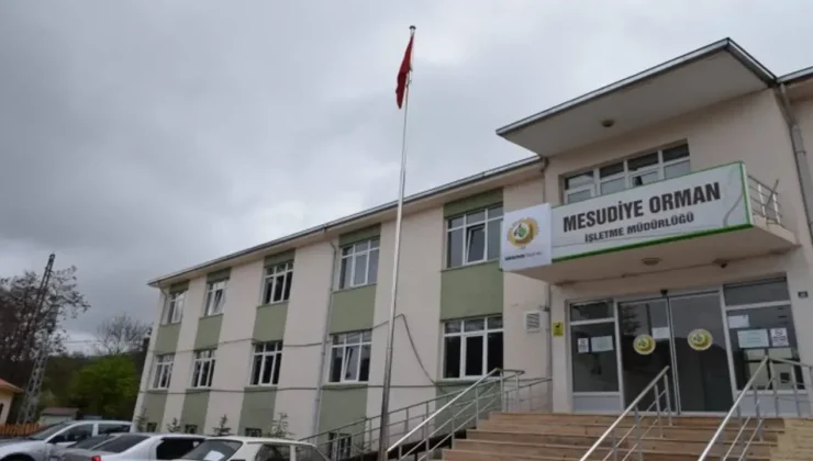 Mesudiye’de Usulsüz Orman Kesimi İddiası: 13.6 Milyon TL Vurgun!