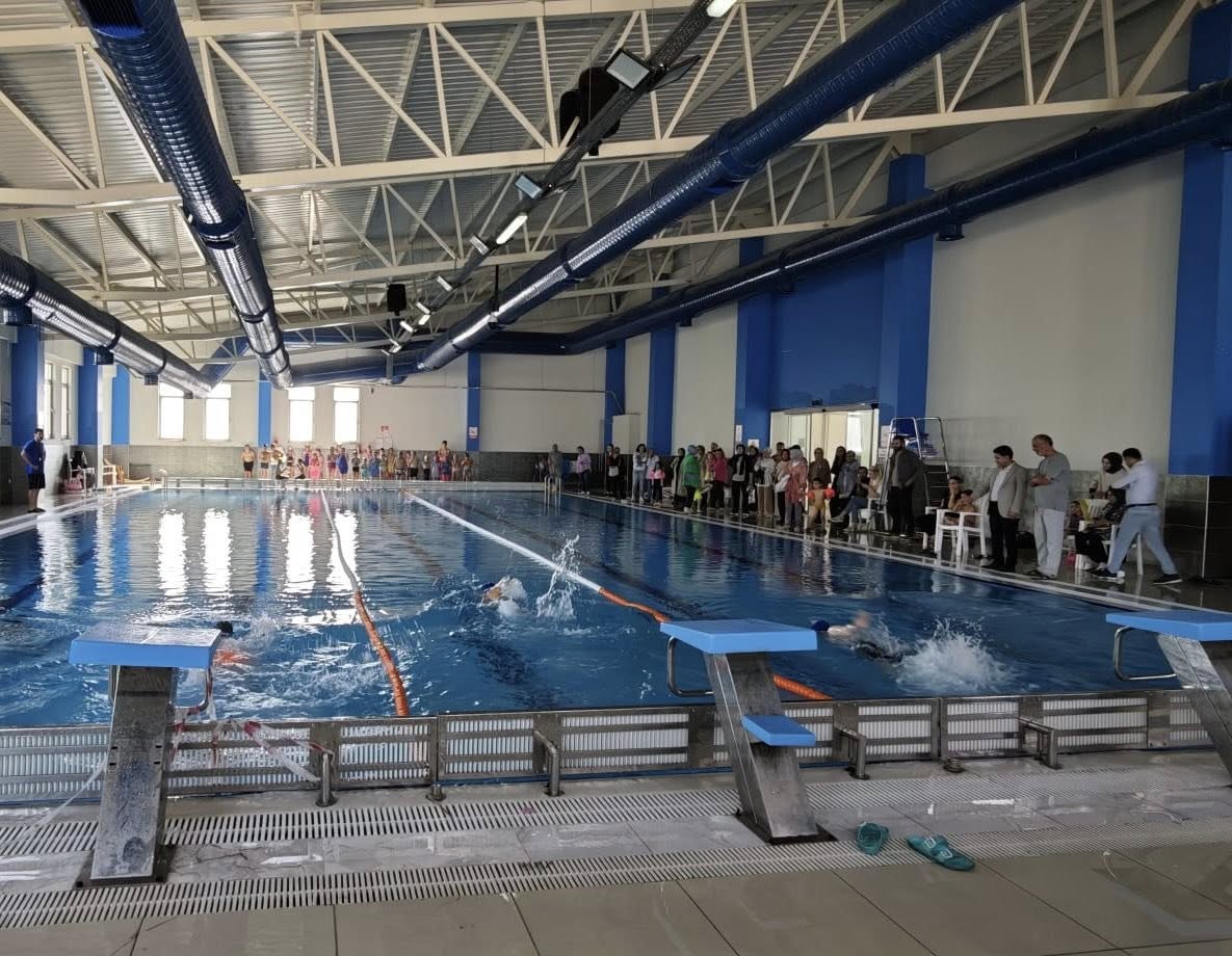 Olimpik Yüzme Havuz