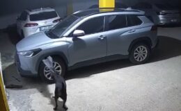 Trabzon Otoparkında Nadir Olay: Köpekler Kediyi Kovalarken Araca Hasar Verdi
