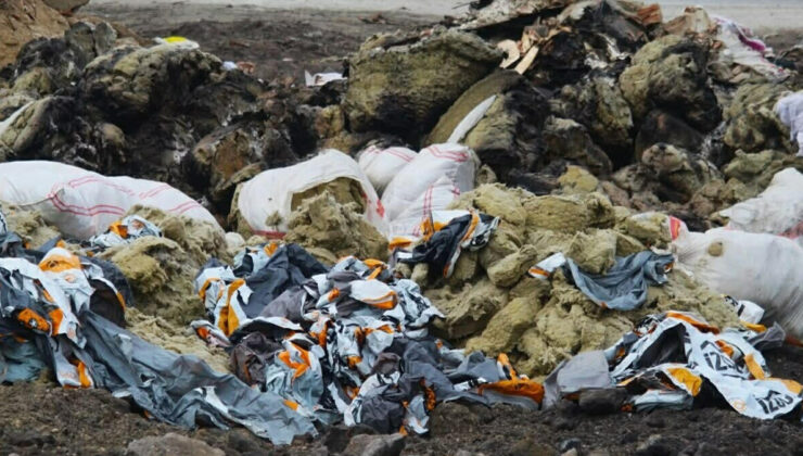 Aydın’da sulak alanlar tehlikede: Ekosistem çöküyor