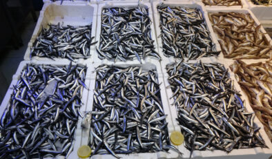 Balıkçılardan ‘patlatılan insansız deniz araçları hamsiyi kaçırttı’ iddiası