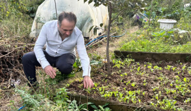 Balkondan başlayan ata tohumu yolculuğu Türkiye’ye yayıldı