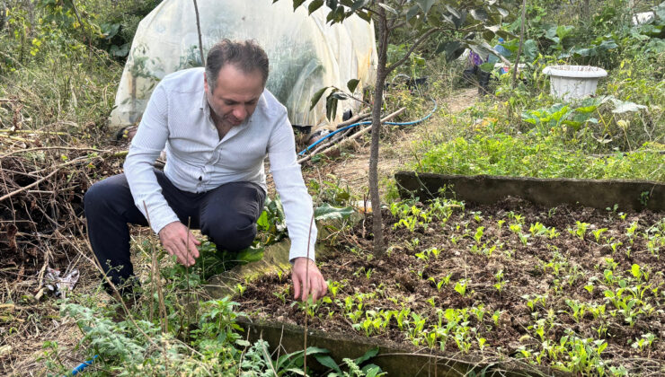 Balkondan başlayan ata tohumu yolculuğu Türkiye’ye yayıldı
