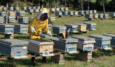 Bartınlı kadın arıcı, devlet desteğiyle başlattığı hobisini mesleğe dönüştürdü