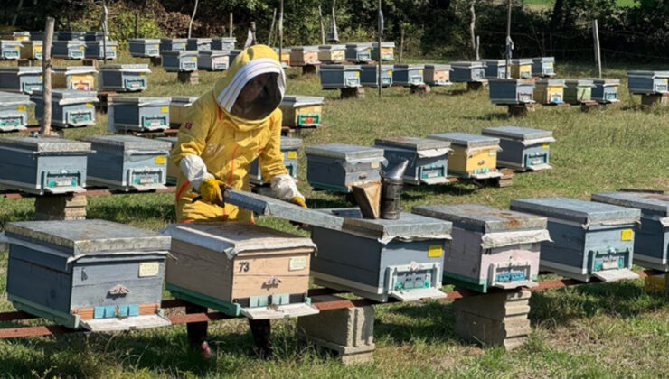 Bartınlı kadın arıcı, devlet desteğiyle başlattığı hobisini mesleğe dönüştürdü
