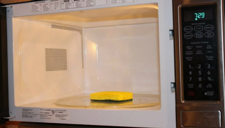 Bulaşık süngerini mikrodalgaya koyun, 2 dakikada tertemiz oluyor…