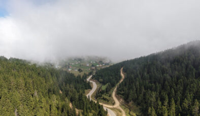 Doğu Karadeniz için heyelan uyarısı: Ağaçlandırma şart
