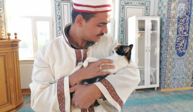 Erzurumlu imamdan kedilere şefkat eli