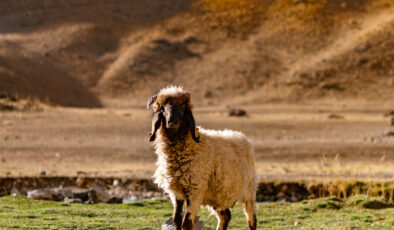 Hakkari artık terörle değil, doğasıyla anılıyor