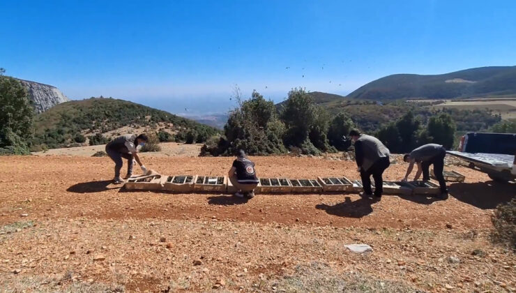 Hatay’da saka kuşu kaçakçılığına 10 milyon 897 bin TL ceza
