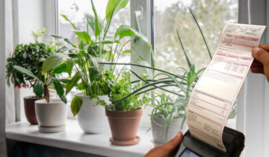 Isınırken tasarruf edin: Bu 3 bitki faturayı azaltıyor