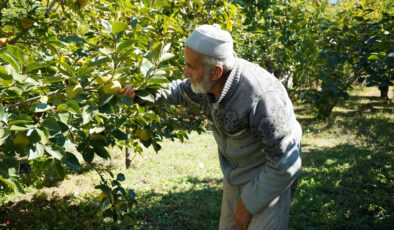 Ispartalı İbrahim Dede’nin ‘hayır bahçesi’ 30 yıldır paylaşımın simgesi