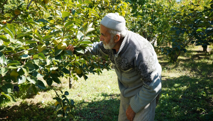 Ispartalı İbrahim Dede’nin ‘hayır bahçesi’ 30 yıldır paylaşımın simgesi