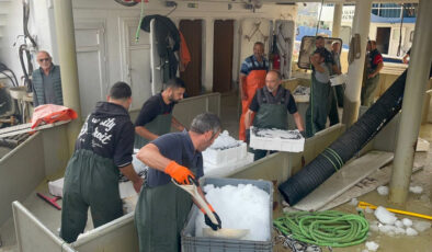 Karadeniz’de hamsi bolluğu: Kilosu 100- 150 TL’ye kadar düştü