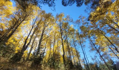 Keklik Vadisi’nde sonbahar güzelliği büyülüyor