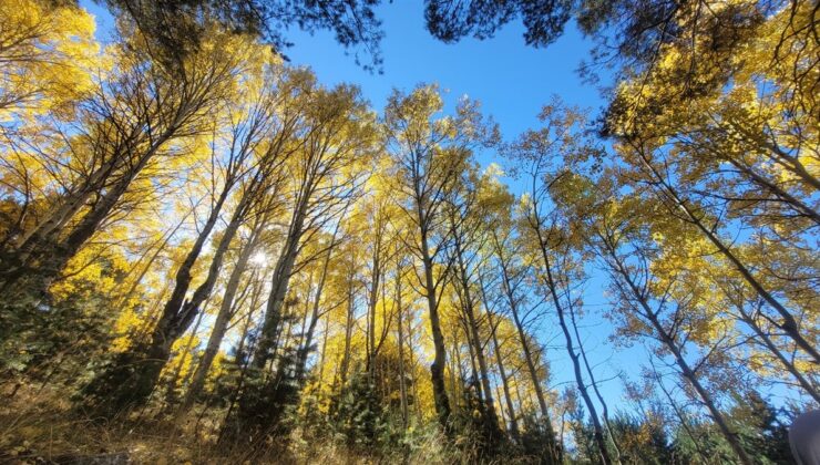 Keklik Vadisi’nde sonbahar güzelliği büyülüyor