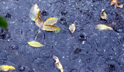 Kentlerde kuraklığa karşı yağmur suyu hasadı önerisi