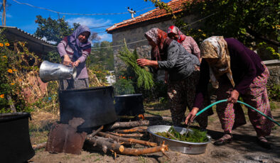 Kozak Yaylası’nın “Yeşil Denizi”nden şifa kaynağı: Çam kozalağı pekmezi