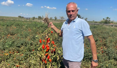 Londra’dan geldi memleketi Bursa’da yatırım yaptı