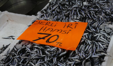 Ordu’da hamsinin kilosu 70 liraya düştü: Vatandaşlardan biri sevinçten çiğ çiğ yedi